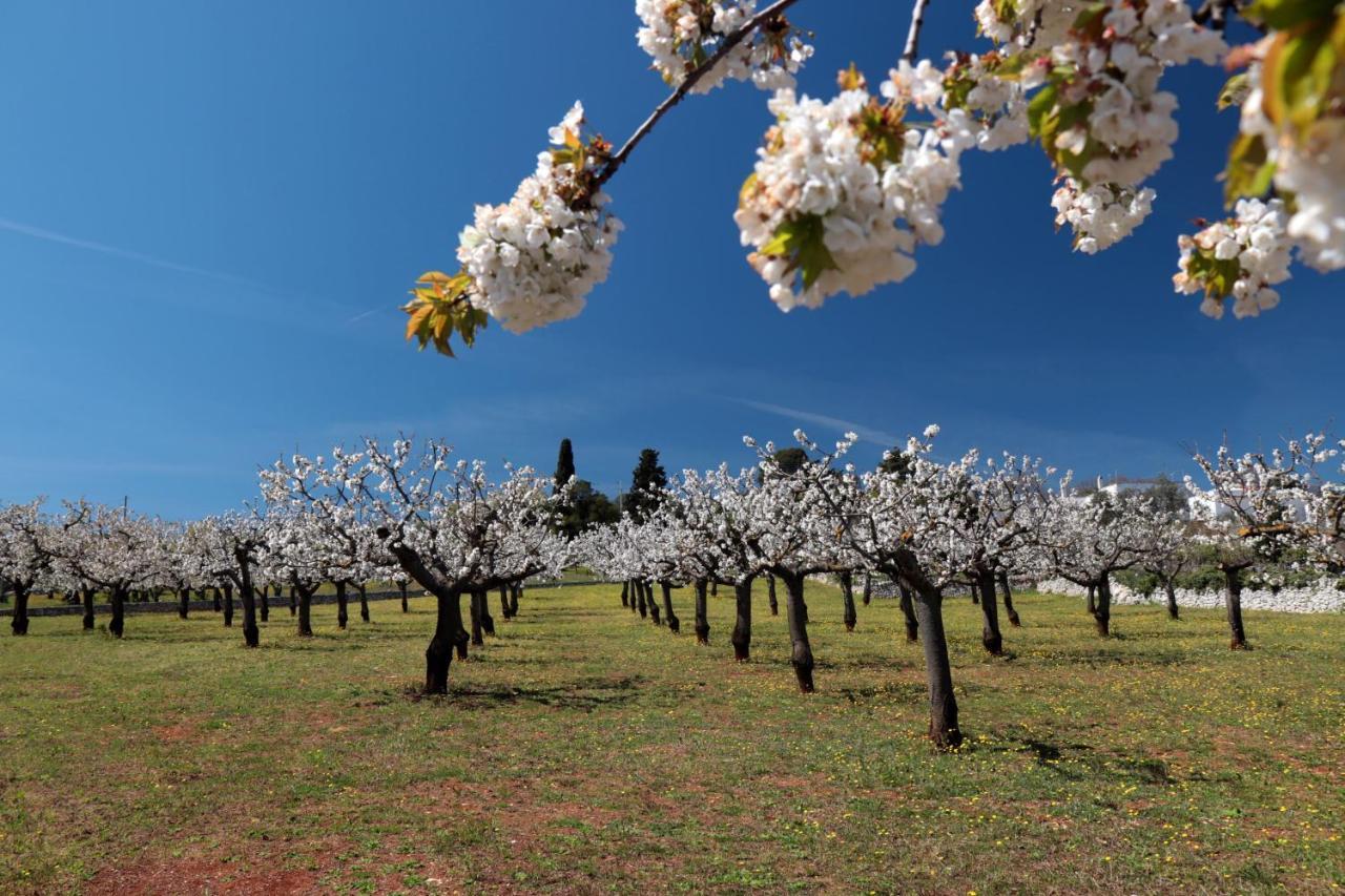 Masseria Conca D'Oro ออสตูนี ภายนอก รูปภาพ