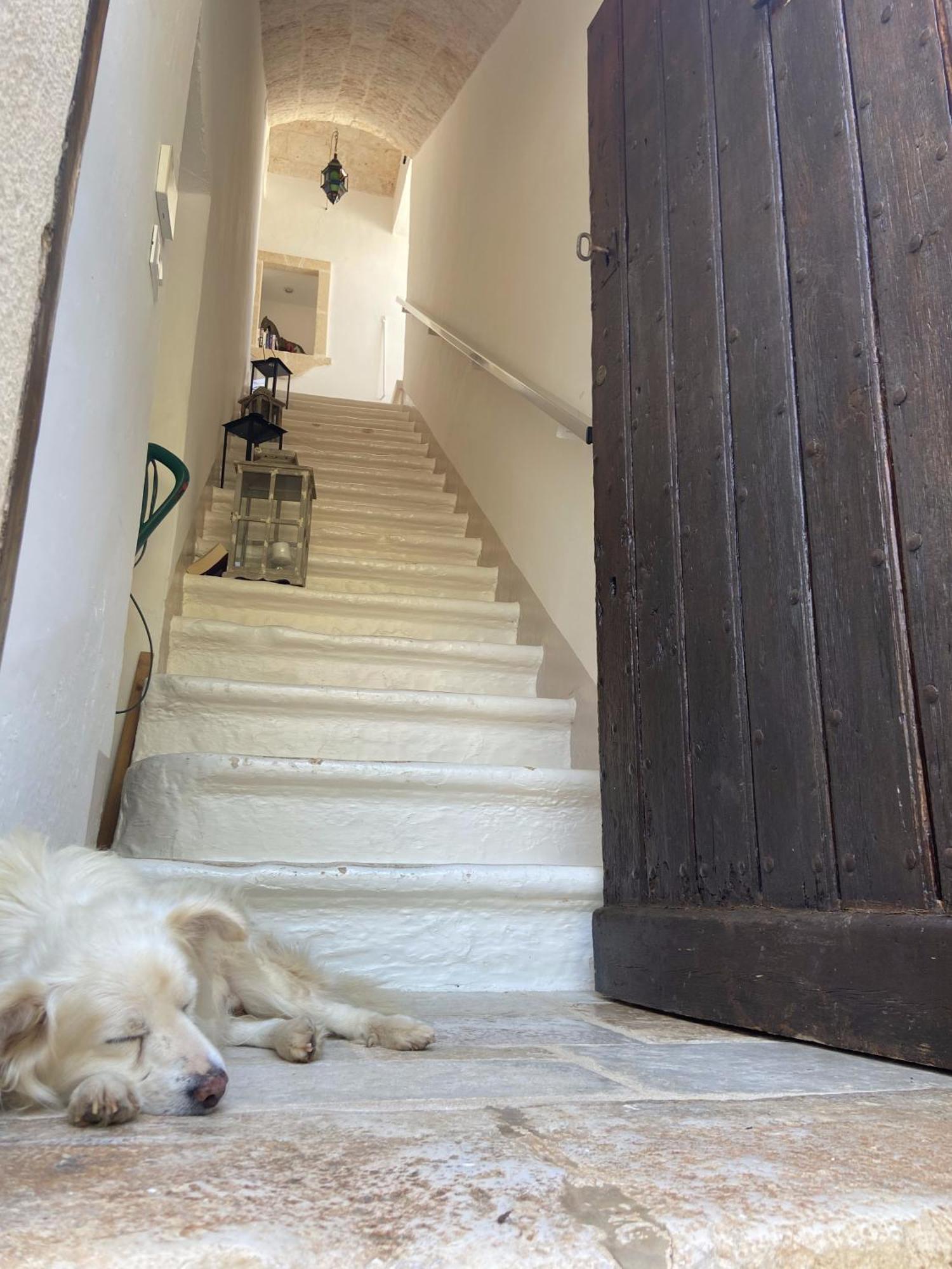 Masseria Conca D'Oro ออสตูนี ภายนอก รูปภาพ